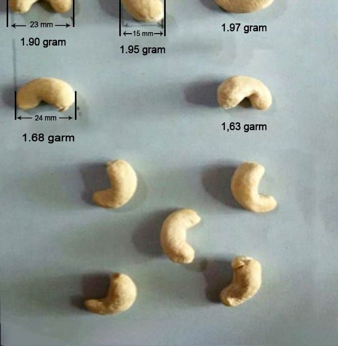 W320 cashew kernels